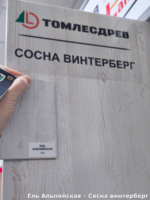 Ель Альпийская - Сосна винтерберг