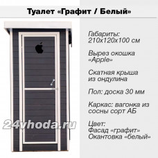 Туалет деревянный с покраской — «Графит / Белый»